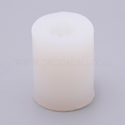 Сочные силиконовые Молды DIY-WH0188-21