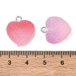Pendentifs en résine&nbsp;RE-CBAC51B-02P