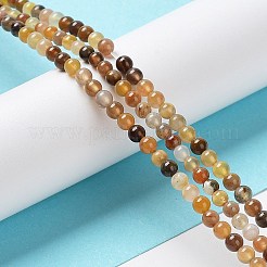 Натуральный окаменелого дерева нити круглый шарик&nbsp;G-P070-69-3mm