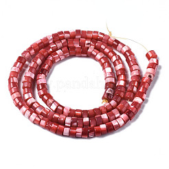 Hebras de cuentas de concha de trochus natural&nbsp;SHEL-S278-027D