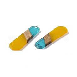Pendentifs en résine transparente et bois de noyer&nbsp;RESI-M027-06F