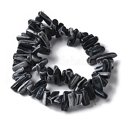 Окрашенные нити натуральных бусин-ракушек трохуса SSHEL-C013-09A