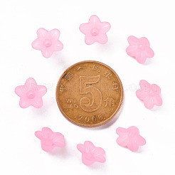 Прозрачные акриловые бусины X-PL554-02