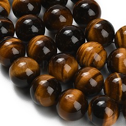 Chapelets de perles d'œil de tigre naturel&nbsp;G-C293-A01-14mm