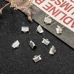 Eisenband Crimp-Enden&nbsp;X-E004Y-S