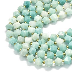 Натуральный цветок амазонитовые бусины пряди G-I376-A68-01