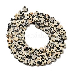 Dalmata naturale perline di diaspro fili&nbsp;LS-G-A272-A01-32