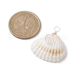 天然のアークシェル銅線巻きペンダント  貝殻の形のチャーム  銀  28~35x26~32.5x10.5~14.5mm  穴：3.5mm&nbsp;PALLOY-JF02678-02