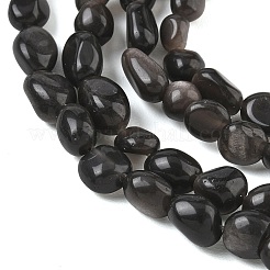 Fili di perline di ossidiana lucentezza argento naturale&nbsp;G-C286-A21