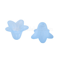 Прозрачные акриловые бусины PLF018-06