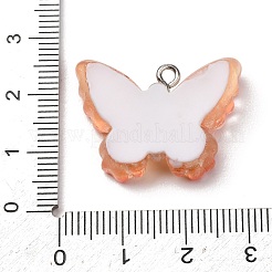 Transparente Harzanhänger&nbsp;LS-RE-CBA5B90-03F