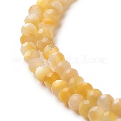 Fili di perline di conchiglia giallo dorato naturale&nbsp;SSHEL-G029-01B