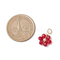 20шт 5 цвета стеклянные подвески&nbsp;PALLOY-JF02918