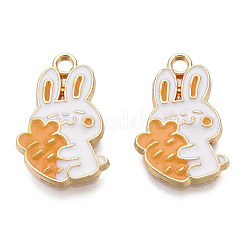 Экологически чистые подвески из цинкового сплава&nbsp;X-FIND-N048-58C-NR