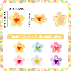 60pcs cabochons en plastique 6 couleurs&nbsp;KY-SC0002-54B