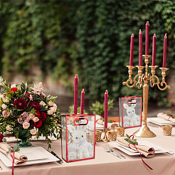 Прямоугольные пластиковые прозрачные подарочные пакеты ABAG-WH0048-21B