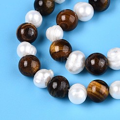 Натуральный тигровый глаз круглый и натуральный культивированный пресноводный жемчуг рифленые картофельные бусины нити PEAR-N019-10