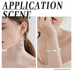 240 шт. 12 стиля бусины из сплава в тибетском стиле&nbsp;TIBEB-SC0001-29