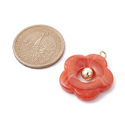 Акриловые кулон&nbsp;PALLOY-JF02468