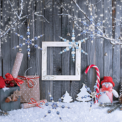 6 шт. PALLOY-SP00003