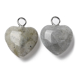 Природные подвески лабрадорита&nbsp;G-E603-01P-08