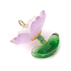 Прозрачные акриловые подвески&nbsp;PALLOY-MZ00823