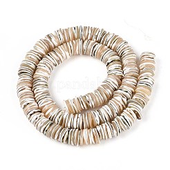 Нити светящихся бусин из натуральных ракушек SSHEL-T017-34