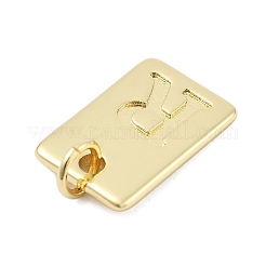Pendentifs en laiton&nbsp;KK-H206-10G-R