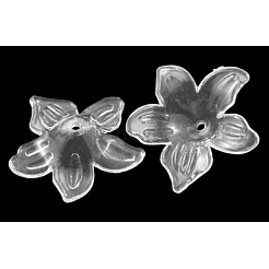 Прозрачные акриловые бусины X-PL674Y