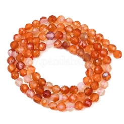 Живой цветок агат бисер нитей&nbsp;G-B175-D23-4mm