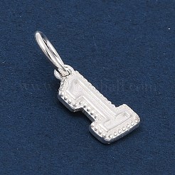 Série numérotée 925 breloques en argent sterling&nbsp;LS-STER-Q002-01B