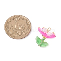 Прозрачные акриловые подвески PALLOY-MZ00823-01