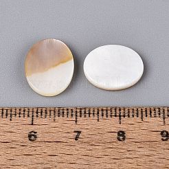 Natürliche Süßwasser Muschel Cabochons&nbsp;SHEL-S276-134A-01-1