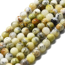 Perline naturali opale fili, tondo, 8mm, Foro: 1 mm, circa 45pcs/filo, 14.96'' (38 cm)