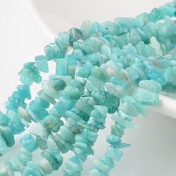 Amazonite naturale fili di perle, per la creazione di gioielli fai da te, pezzo, 4~6x8~12x2~4mm, Foro: 1 mm, circa 34.6 pollice