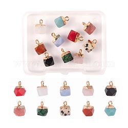 10Pcs 10 Style Electroplate Mixed Gemstone Charms, with Golden Iron Findings, Faceted, Star Cut Round, 1pc/style