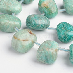 Brins de perles d'amazonite naturelle en forme de larme, perles percées, 15~30x11~20mm, Trou: 1mm, Environ 17 pcs/chapelet, 15.7 pouce