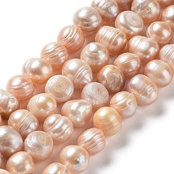 Hebras de perlas de agua dulce cultivadas naturales, patata, grado ab, peachpuff, 9~11x9~10mm, agujero: 0.6 mm, aproximamente 37 pcs / cadena, 13.46'' (34.2 cm)