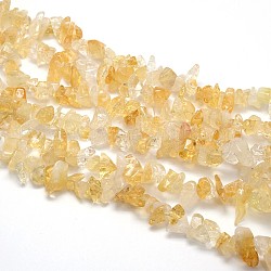 Natural Citrine Beads Strands, Chips, 5~8x5~8mm, Hole: 1mm, about 31.5inch