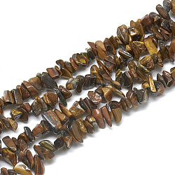 Chapelets de perles d'œil de tigre naturel, puce, 3~11x3~5x1~4mm, Trou: 1mm, Environ 380~400 pcs/chapelet, 33 pouce