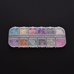 Shell Chips, for False Acrylic & UV Gel Nail, Nail Flakies Decoration, Mixed Color, 3~23x2~14x0.1~1mm, Box: 13x5.4x1.1cm
