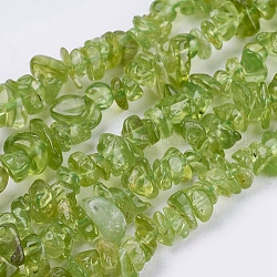 Chapelets de perles en péridot naturel, puce, vert olive, 3~7x2~4x2~4mm, Trou: 1mm