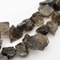 Natural Smoky Quartz Nuggets Bead Strands, 10~20mm, Hole: 1mm, about 16 inch