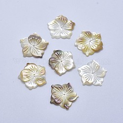 Natürliche gelbe Muschel Perlen, Blume, 18~20x1~2.5 mm, Bohrung: 0.8 mm