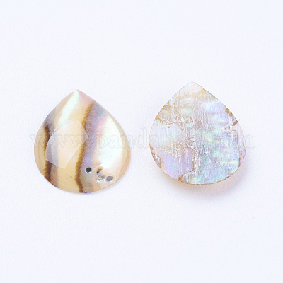 Естественно Ракушка Пауа кабошоны SSHEL-F301-26-1