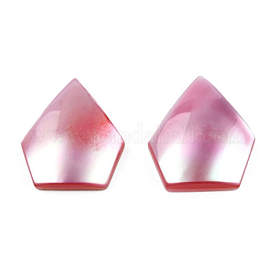 Натуральный турбокорнулус/кабошоны из ракушек SSHEL-N003-155B-1