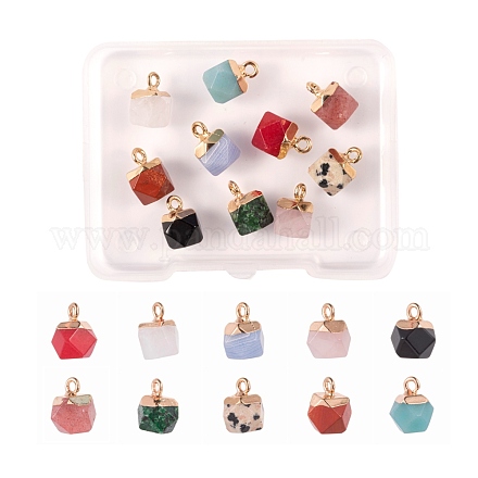 10Pcs 10 Style Electroplate Mixed Gemstone Charms G-LS0002-03-1