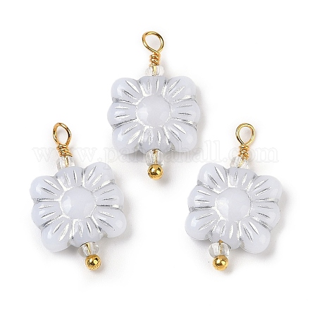 Непрозрачные акриловые подвески KK-K296-04B-G-1