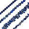 4 Strands 4 Style Natural Lapis Lazuli Beads Strands, Round & Chip & Nugget, 1 strand/style