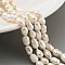 Natural Keshi Pearl Cultured Freshwater Pearl Beads Strands, Baroque Pearls, Two Sides Polished, Grade 3A+, PapayaWhip, 5~5.5mm, Hole: 0.7mm, about 24pcs/strand, 6.69 inch(17cm)